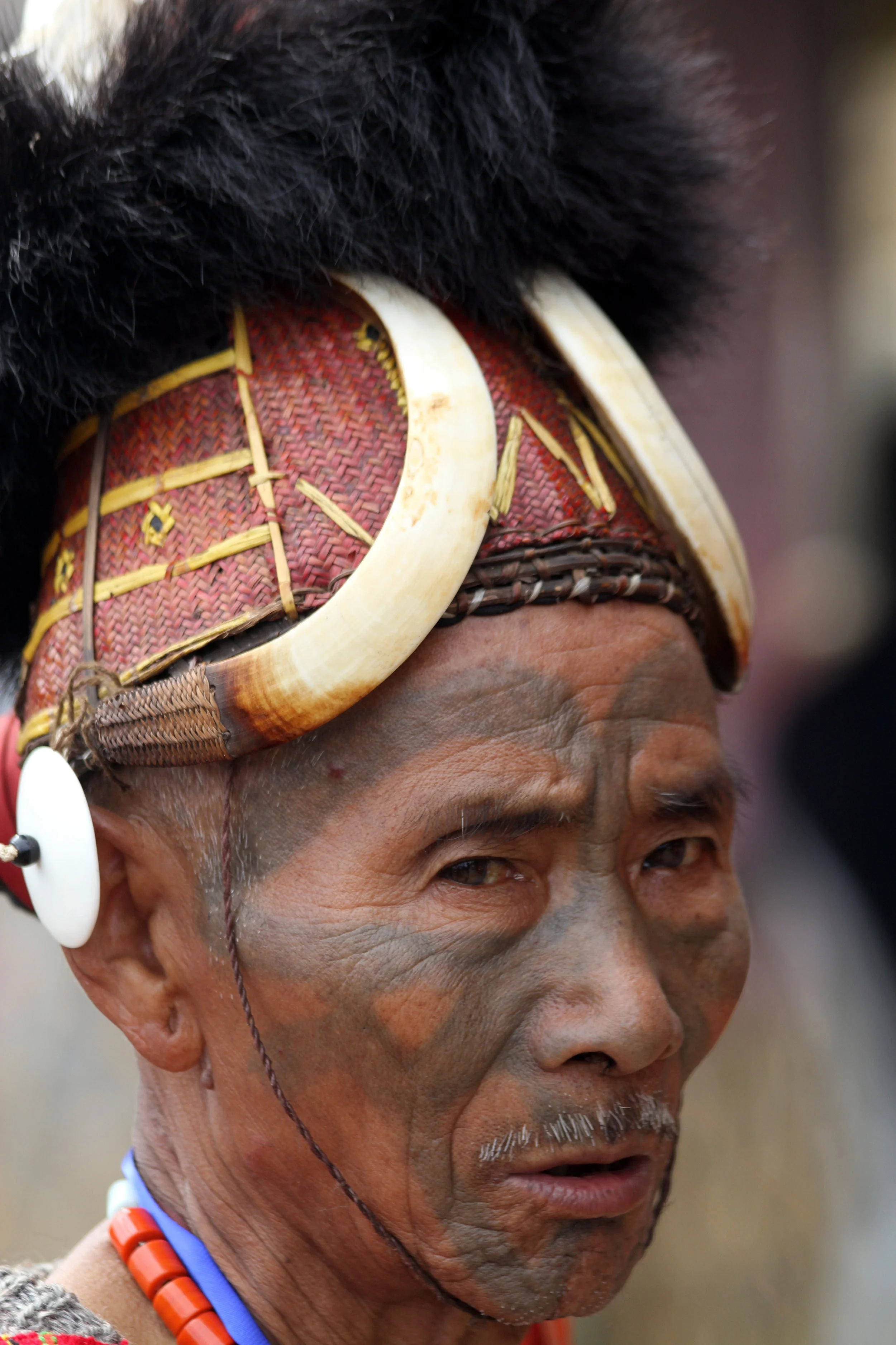    North East India, The Land That Time Almost Forgot.            