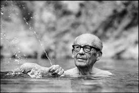 The Haus That Walter Gropius Built. How Brauhaus Has Subtly Changed Our Lives.