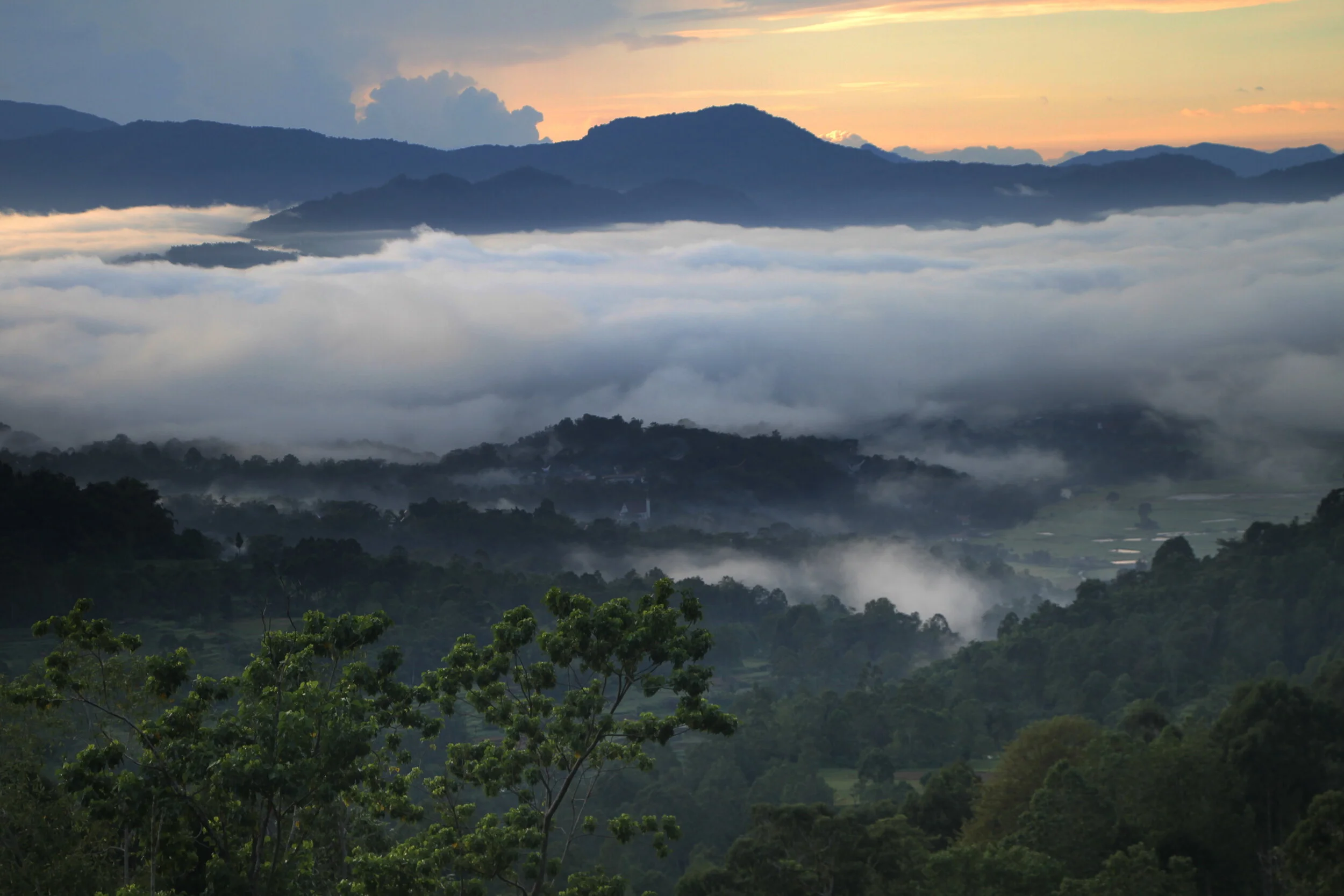 Christianity At The Crossroads. A Journey To Tanah Taraja.