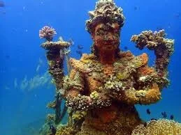 sttue covered coral.jpeg