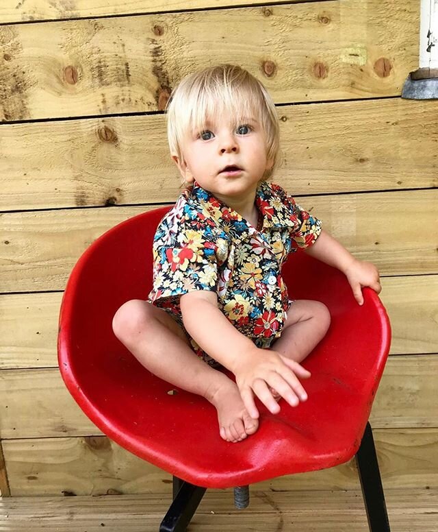 This guy is quite a wee dude! Thanks for helping us clean the cabins today @glack_house buddy.
We love ya kid 💚
📸 @kelsharkin .
#weylyndeanharkin