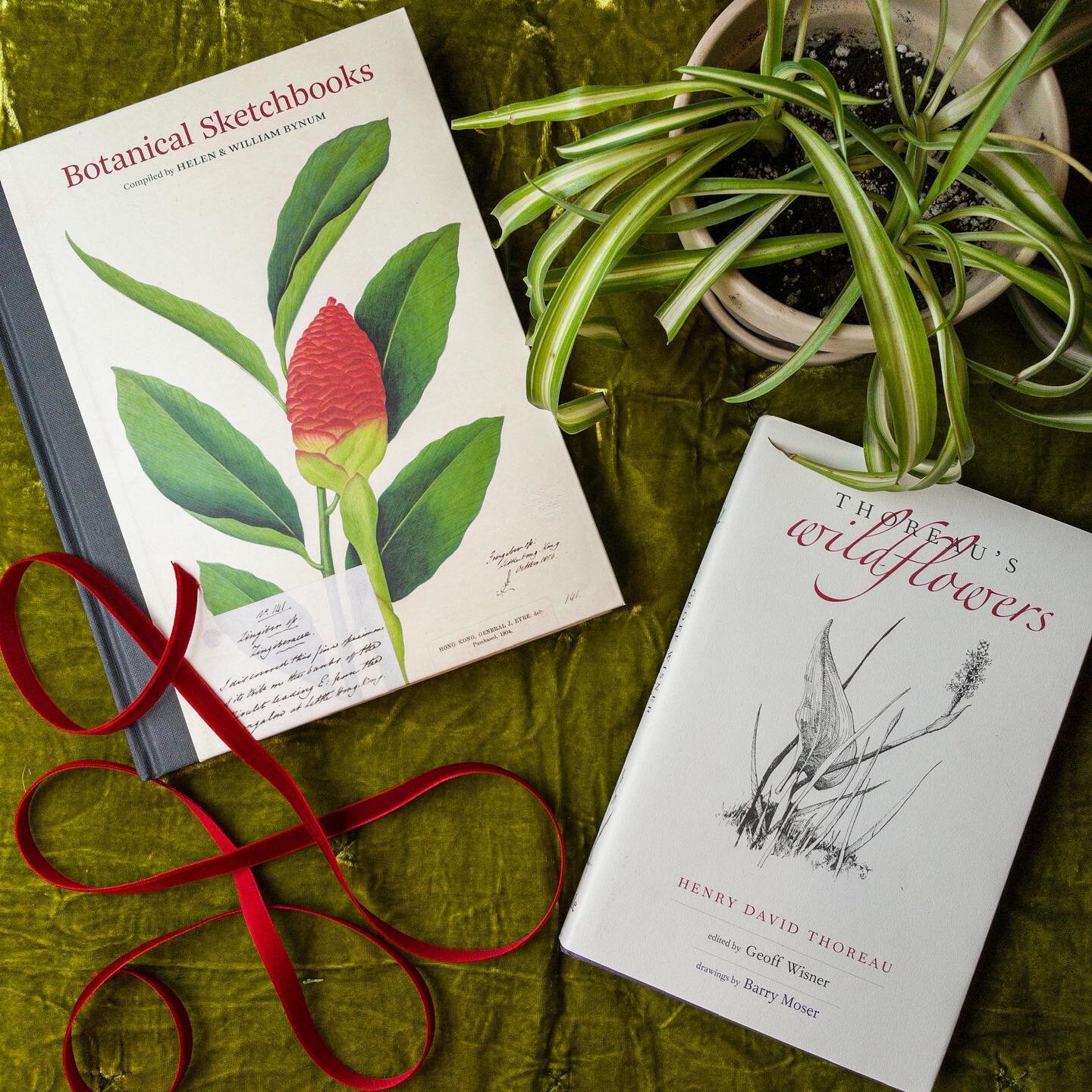 For the kind-spirited gardener in our lives: a great pairing of botanical-themed volumes, plus a little plantling propagated from one of our own!

Botanical Sketchbooks includes beautiful sketches from over 80 artists and across 500 years. A real vis