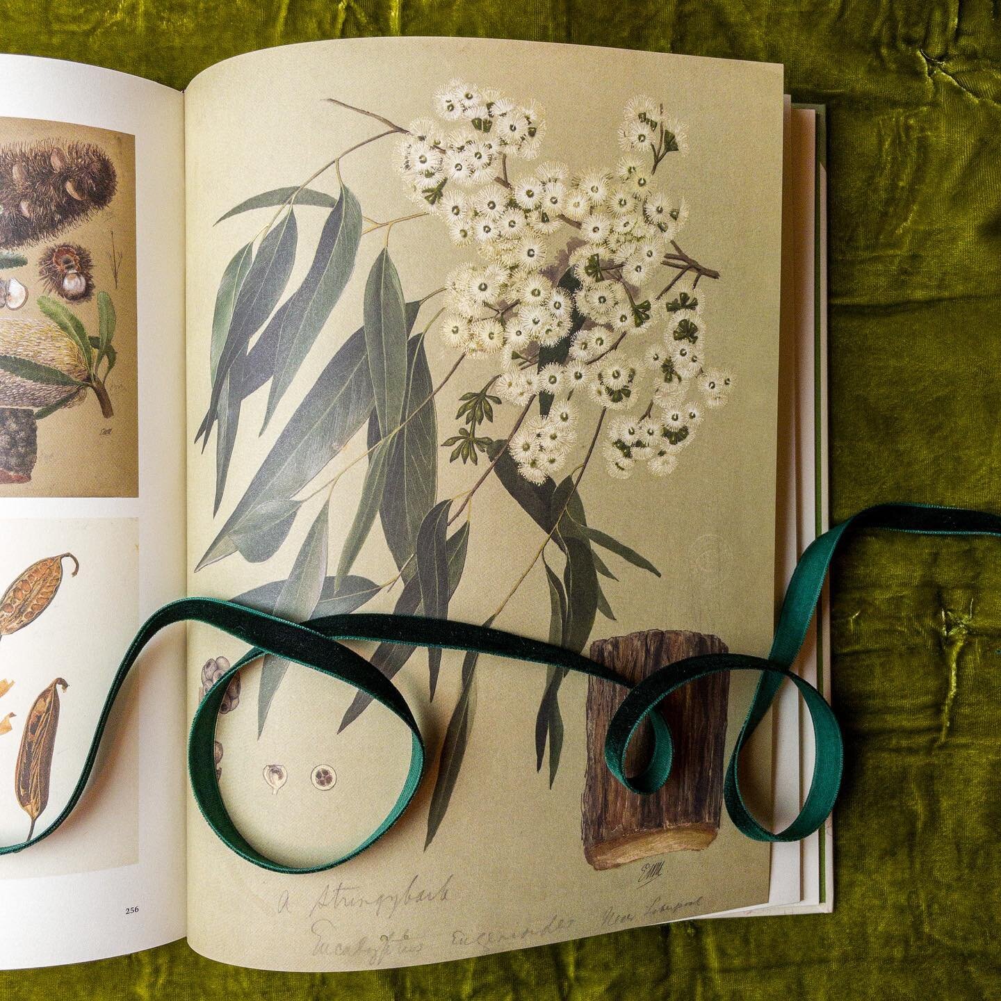 It took a while before we could wrap our gift copy of Botanical Illustrations &mdash; we couldn&rsquo;t stop flipping through its gorgeous pages! 

Botanical Sketchbooks
Helen and William Bynum
@papress

#pykewater