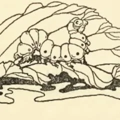 Video Tribute to My Writing from Caterpillar Poetry