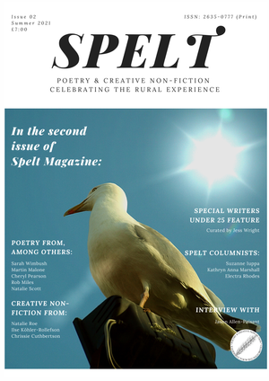 Spelt Magazine - Issue 2 Out Now — Steve Nash Writes