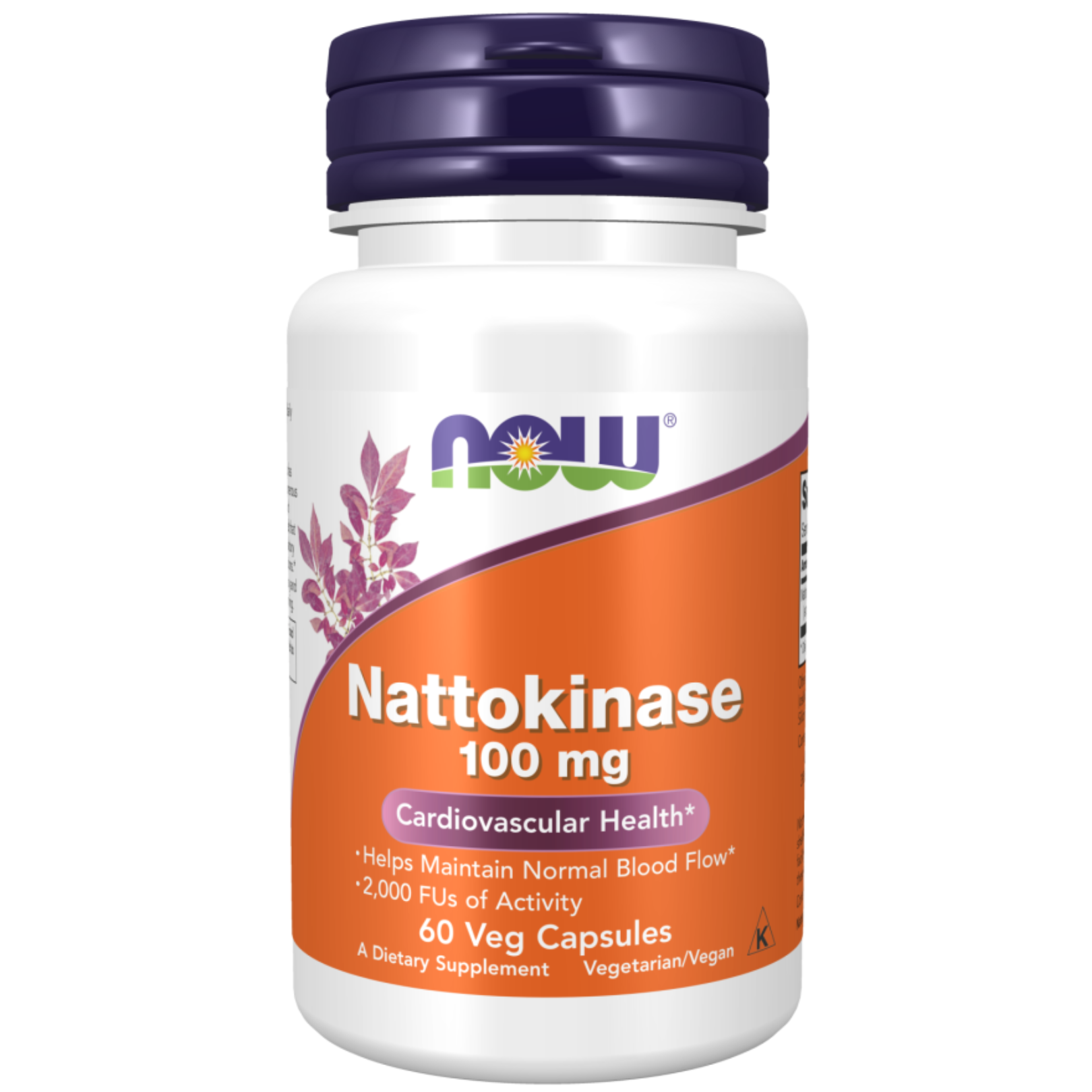Nattokinase 100 mg Veg Capsules