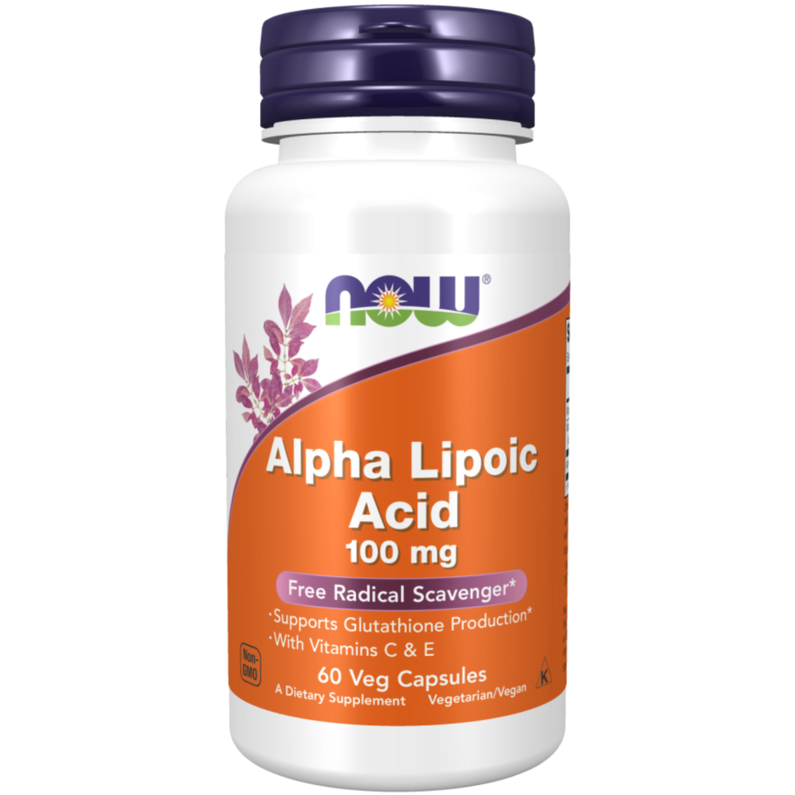 Alpha Lipoic Acid 100 mg Veg Capsules