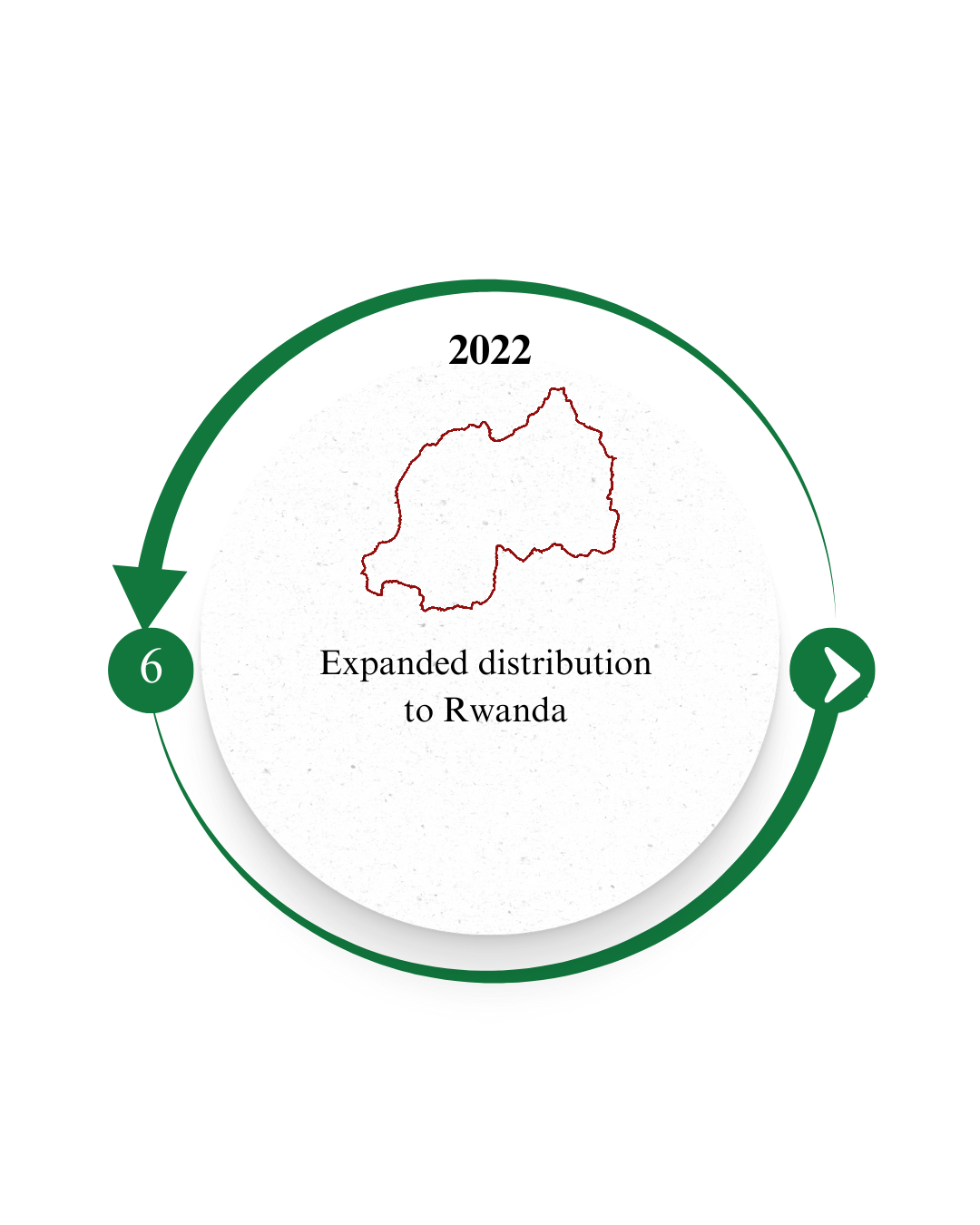 Our Timeline  (14).png