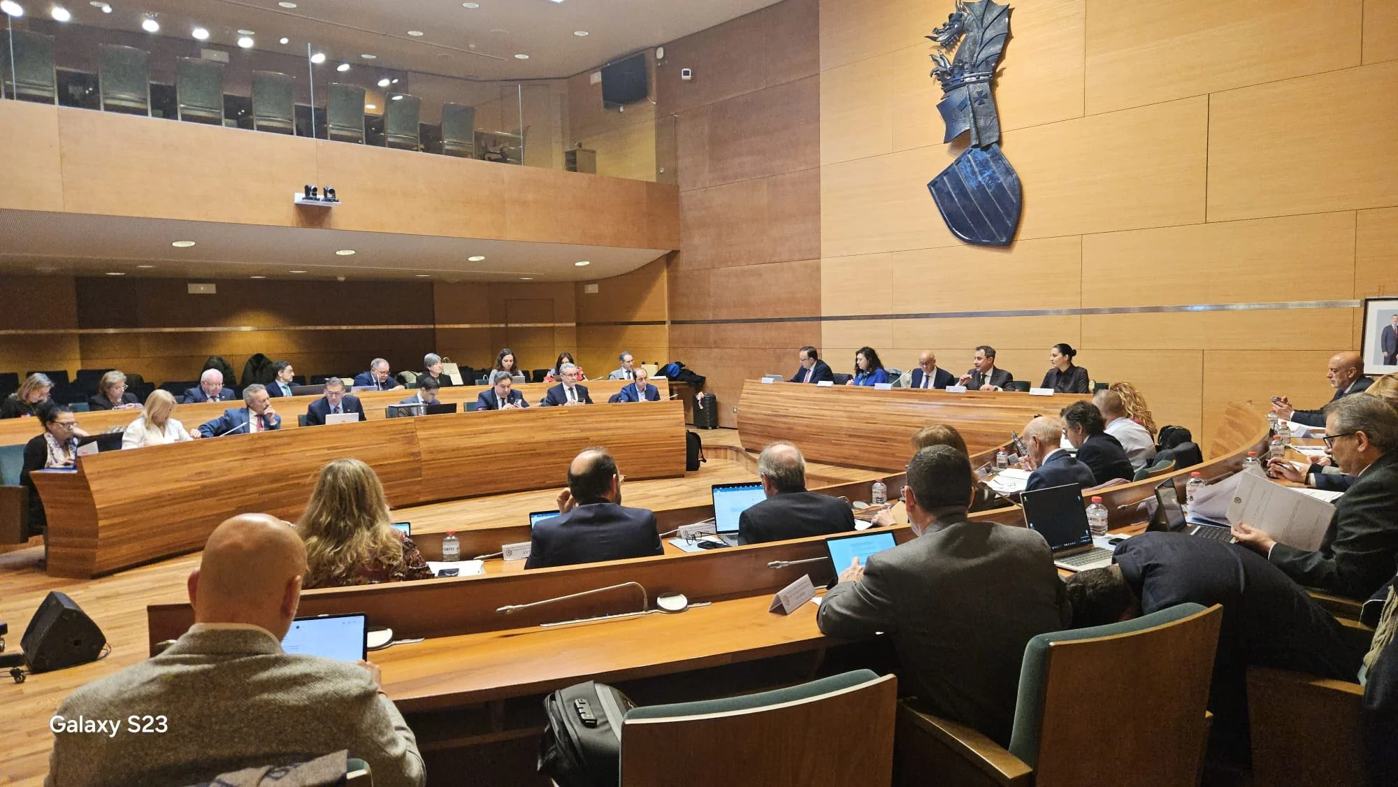 PLENO CONSEJO GENERAL GRADUADOS SOCIALES EN VALENCIA