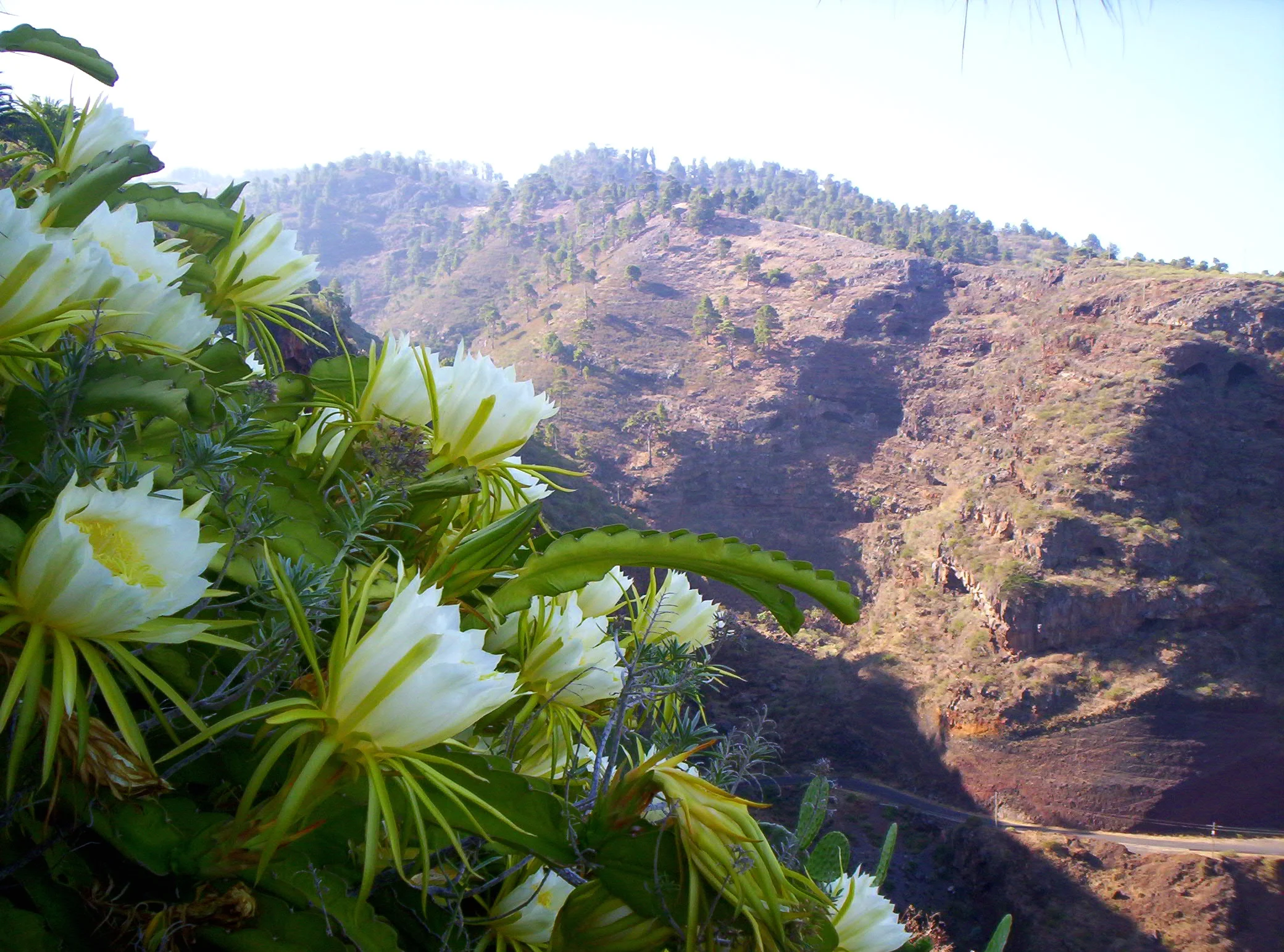 cueva de agua 715.JPG