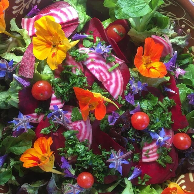 Ensalada mixta con flores y hierbas de la huerta  #permakultur #permagarden#selbstversorger #kr&auml;utergarten #agroturismo