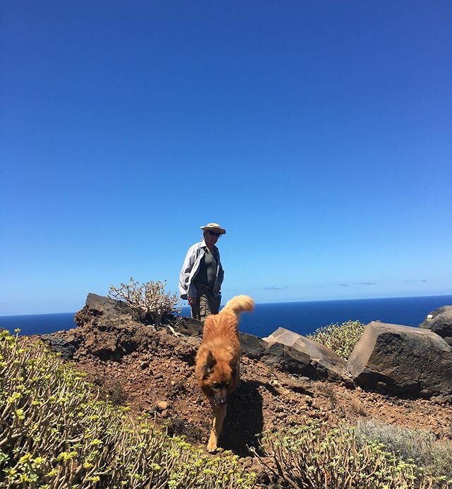 #senderistas #wandern ☀️🤗🌊Qu&eacute; alegr&iacute;a poder volver a caminar con nuestros amigos peludos 🐕 🚶&zwj;♀️🚶🏼&zwj;♂️ Espero que podamos ir de excursi&oacute;n con nuestros visitantes nuevamente pronto.🙏☀️