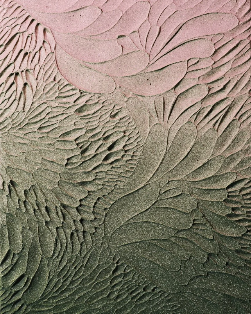 Products - 30x30cm - Campus Florens - Cropped.jpg