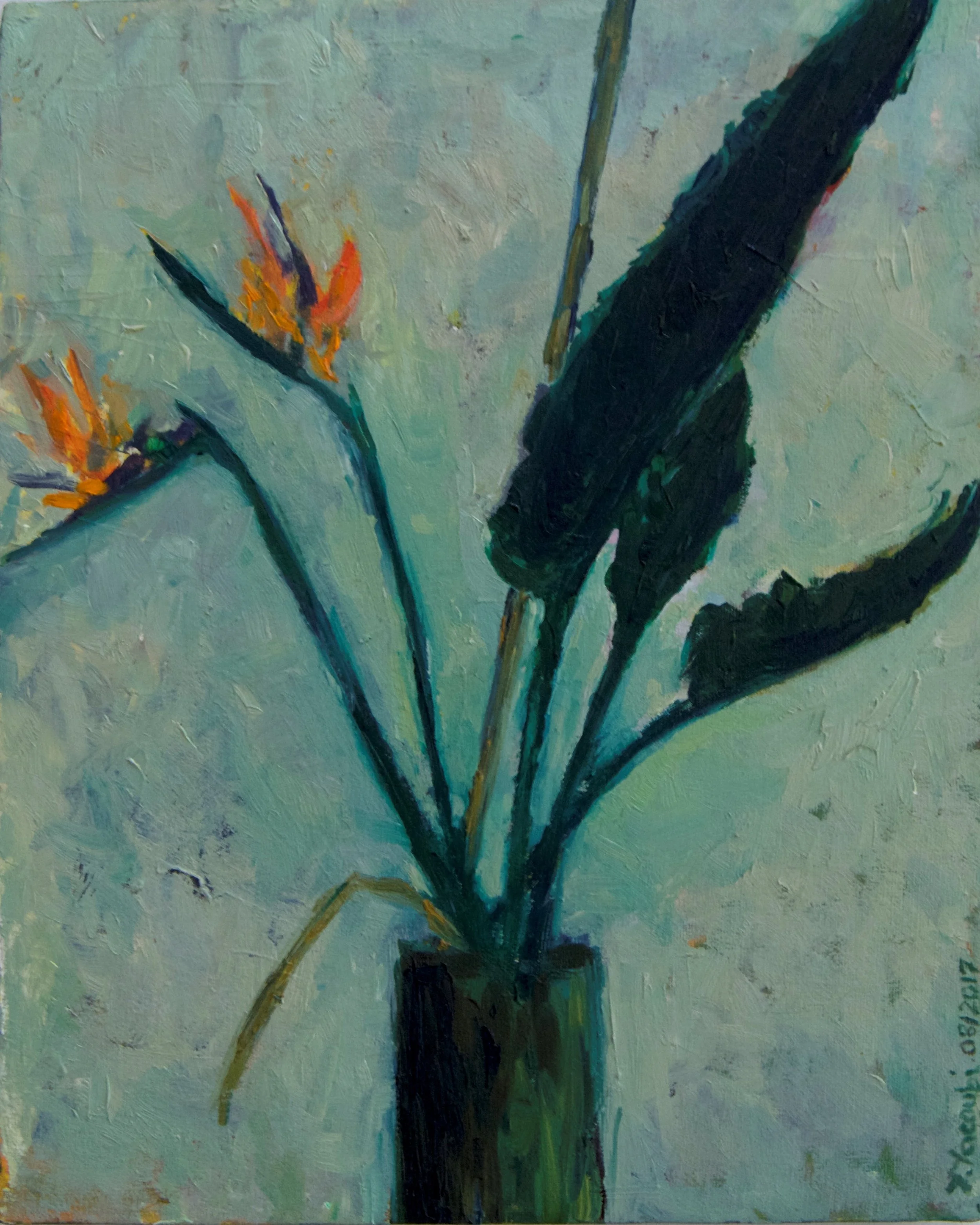 The crane flower or bird of paradise