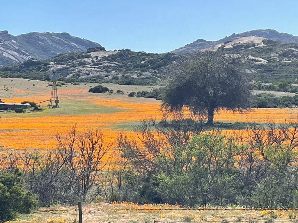 Namaqualand