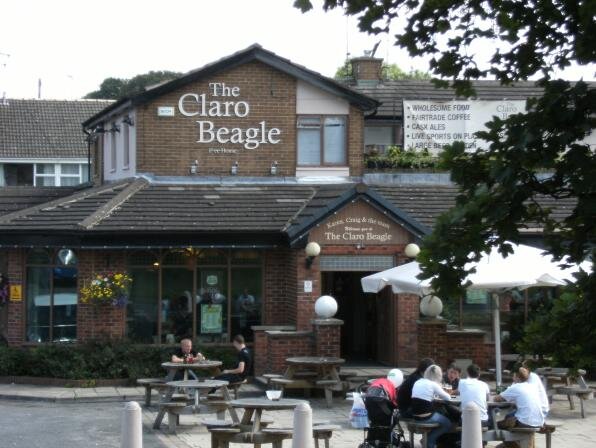 The Claro Beagle Harrogate