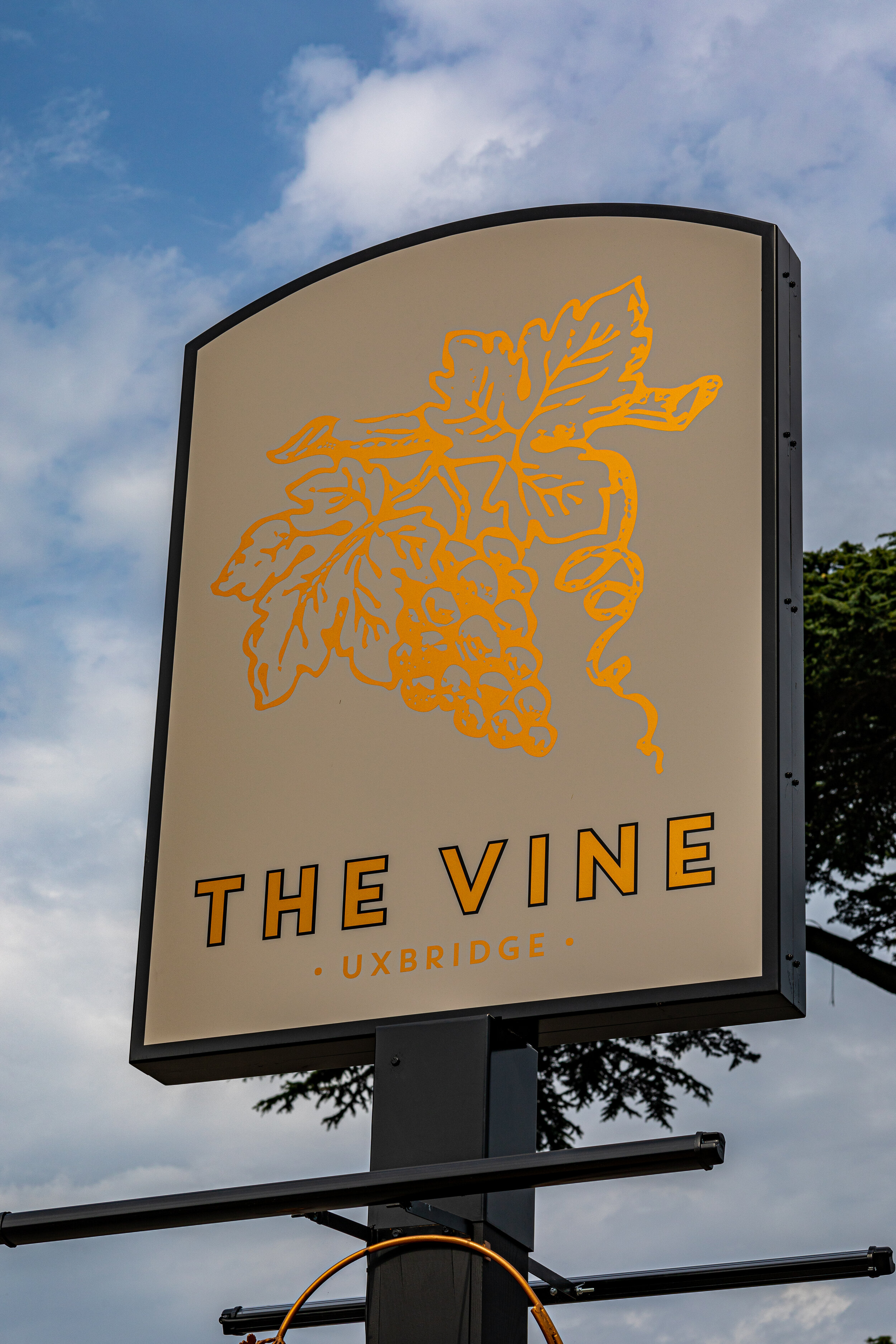 The Vine111.jpg