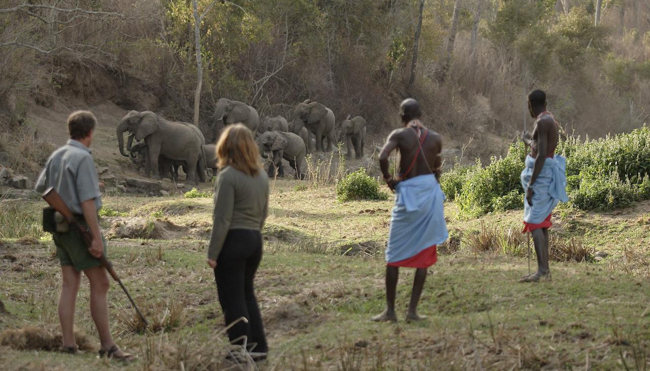 Kitich Camp - Forest Walk - Elephants.jpg