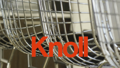 Animated GIF-downsized_large (6).gif