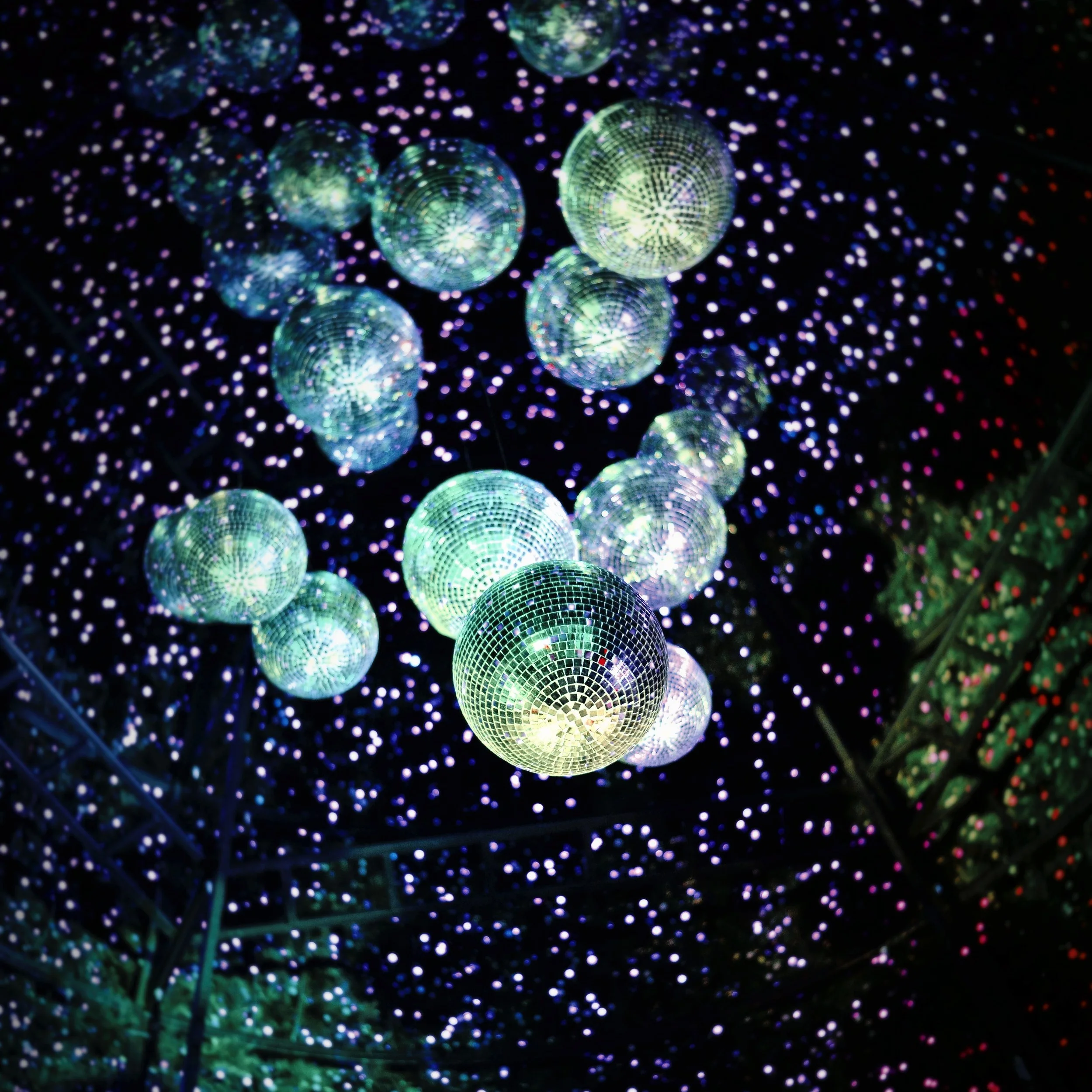 FAIRY+DISCO.jpg