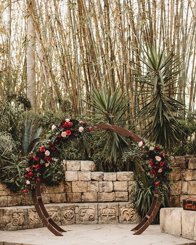 Absolute stunner! 😍⠀⠀⠀⠀⠀⠀⠀⠀⠀
⠀⠀⠀⠀⠀⠀⠀⠀⠀
Venue: @jacksonvillezoo⠀⠀⠀⠀⠀⠀⠀⠀⠀
Cake:  @cakemetoparadise⠀⠀⠀⠀⠀⠀⠀⠀⠀
Florals: @awp_events⠀⠀⠀⠀⠀⠀⠀⠀⠀
Photos: @meagangainesphotography⠀⠀⠀⠀⠀⠀⠀⠀⠀
Bar: Anthony's Catering ⠀⠀⠀⠀⠀⠀⠀⠀⠀
Ceremony Music: @adagio_weddings⠀⠀⠀⠀⠀