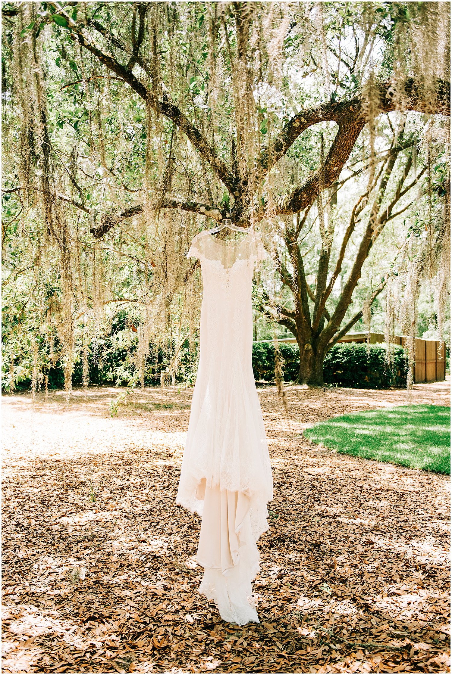  bride’s wedding dress in Bowing oaks 