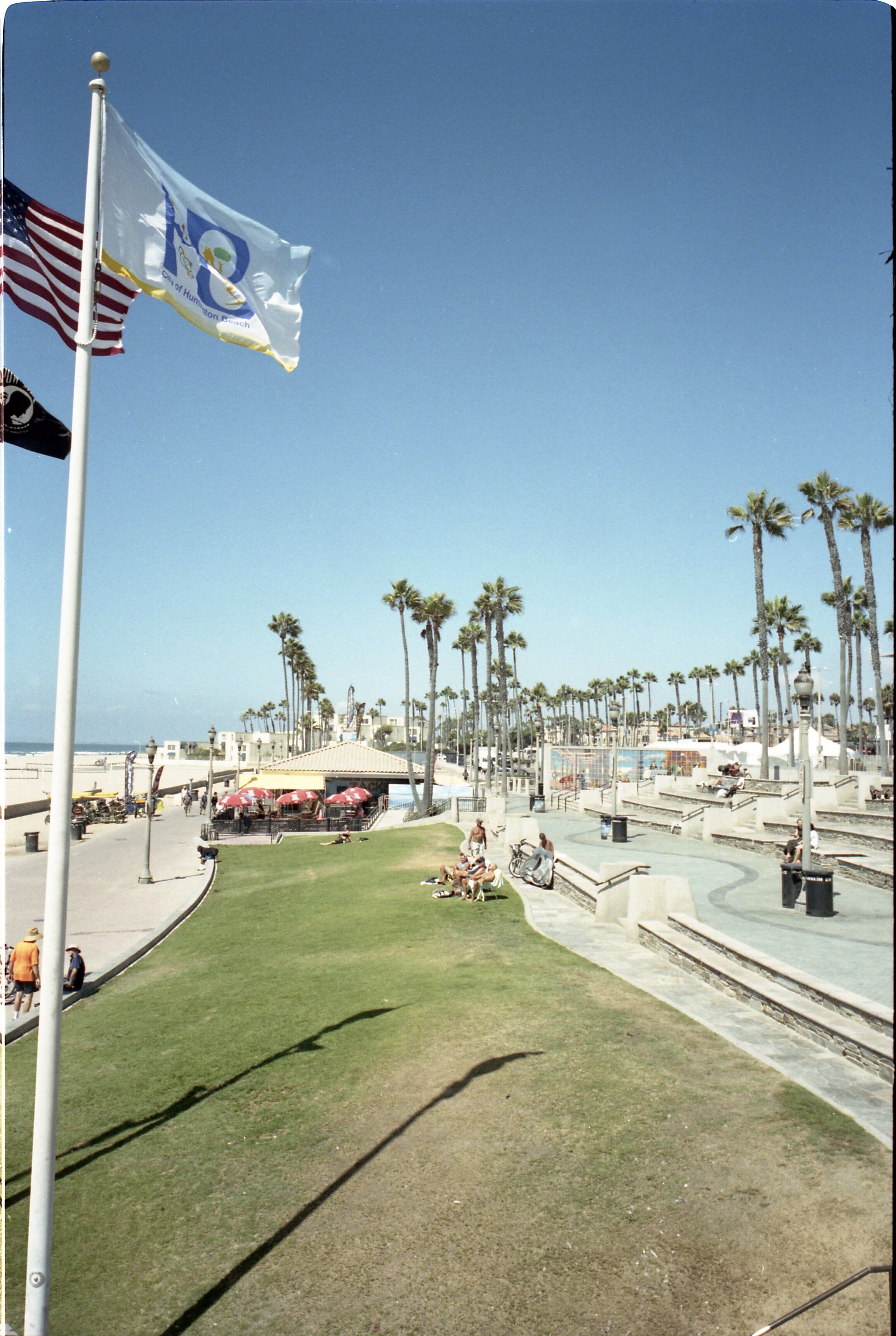 img390.jpg
