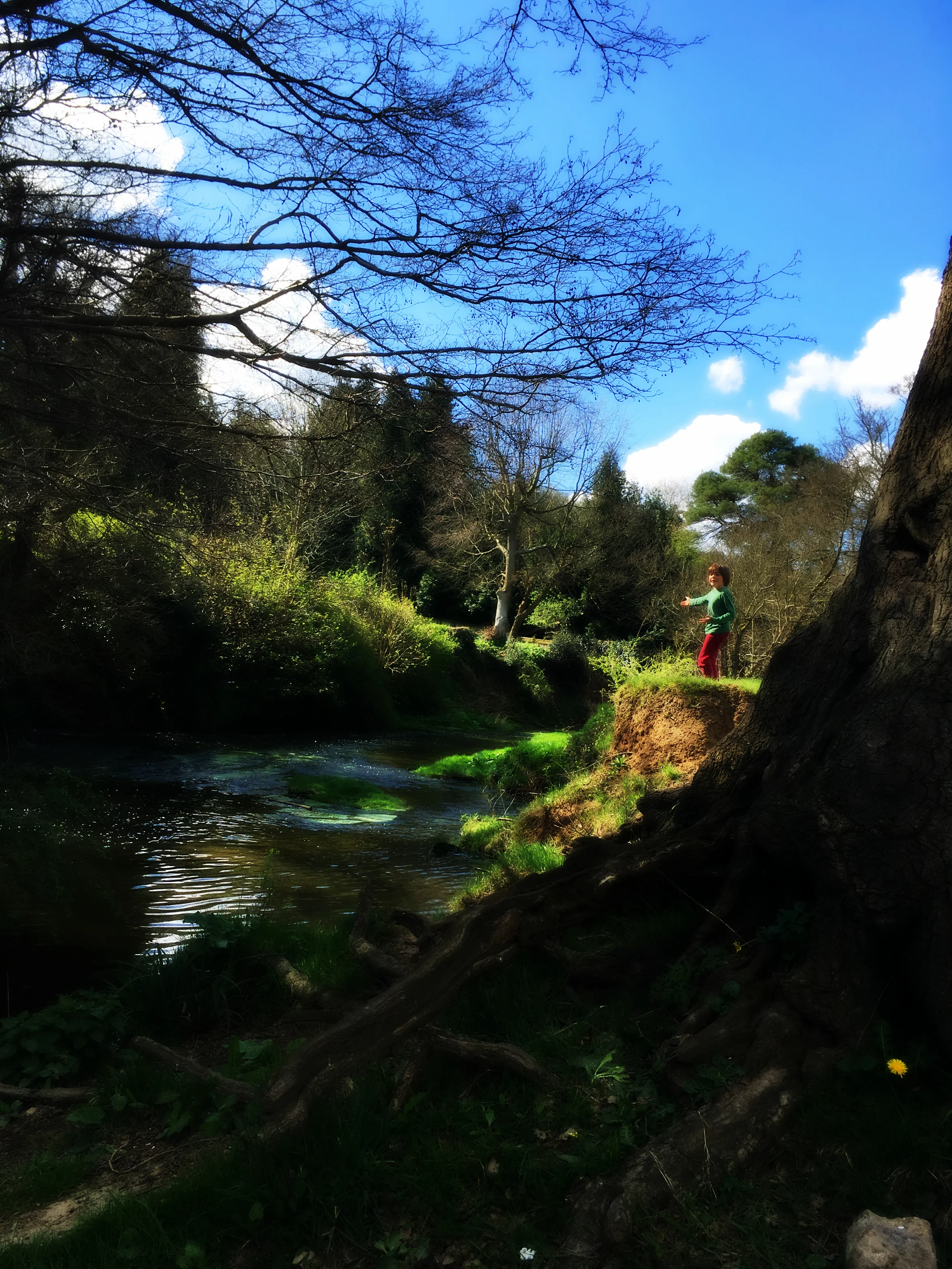 Recipe post-hospital, post-emergency, post-trauma