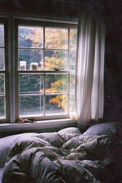 Nourishing your Home