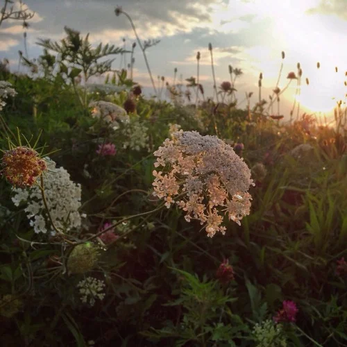 This is how it feels