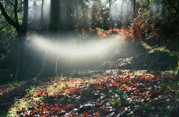 unlimited energy awaiting for you