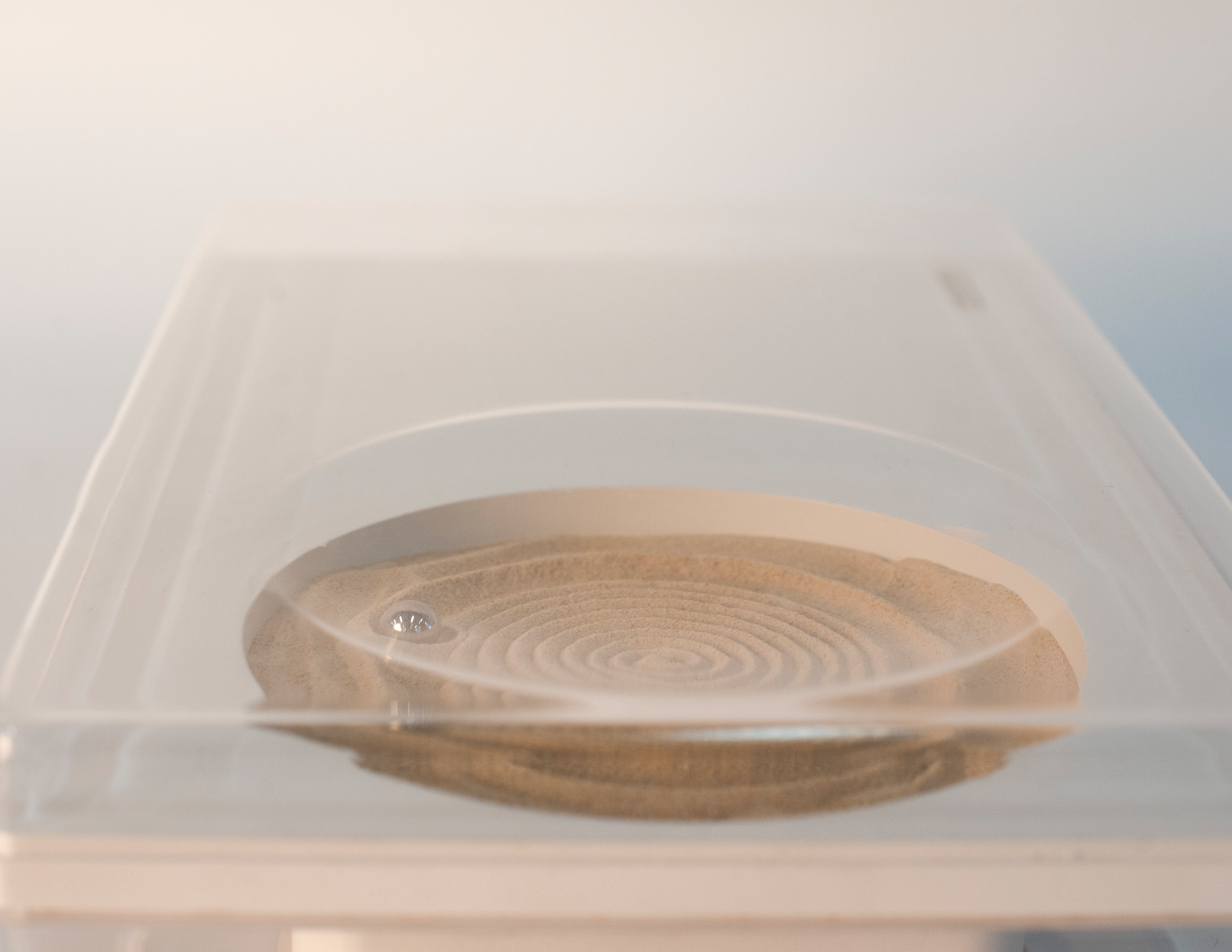 Screen Shot 2019-04-01 at 9.42.28 PM.png