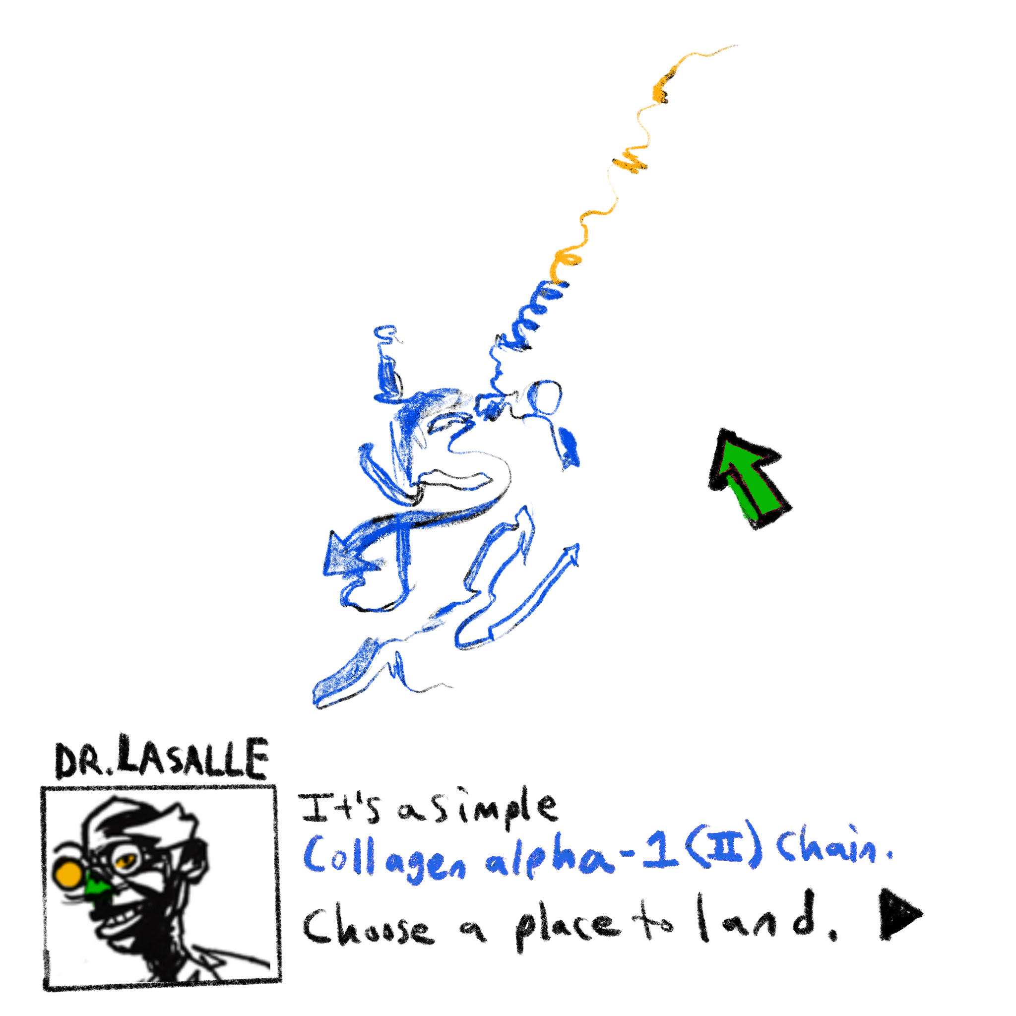 drawing of collagen alpha 1 type 2 chain