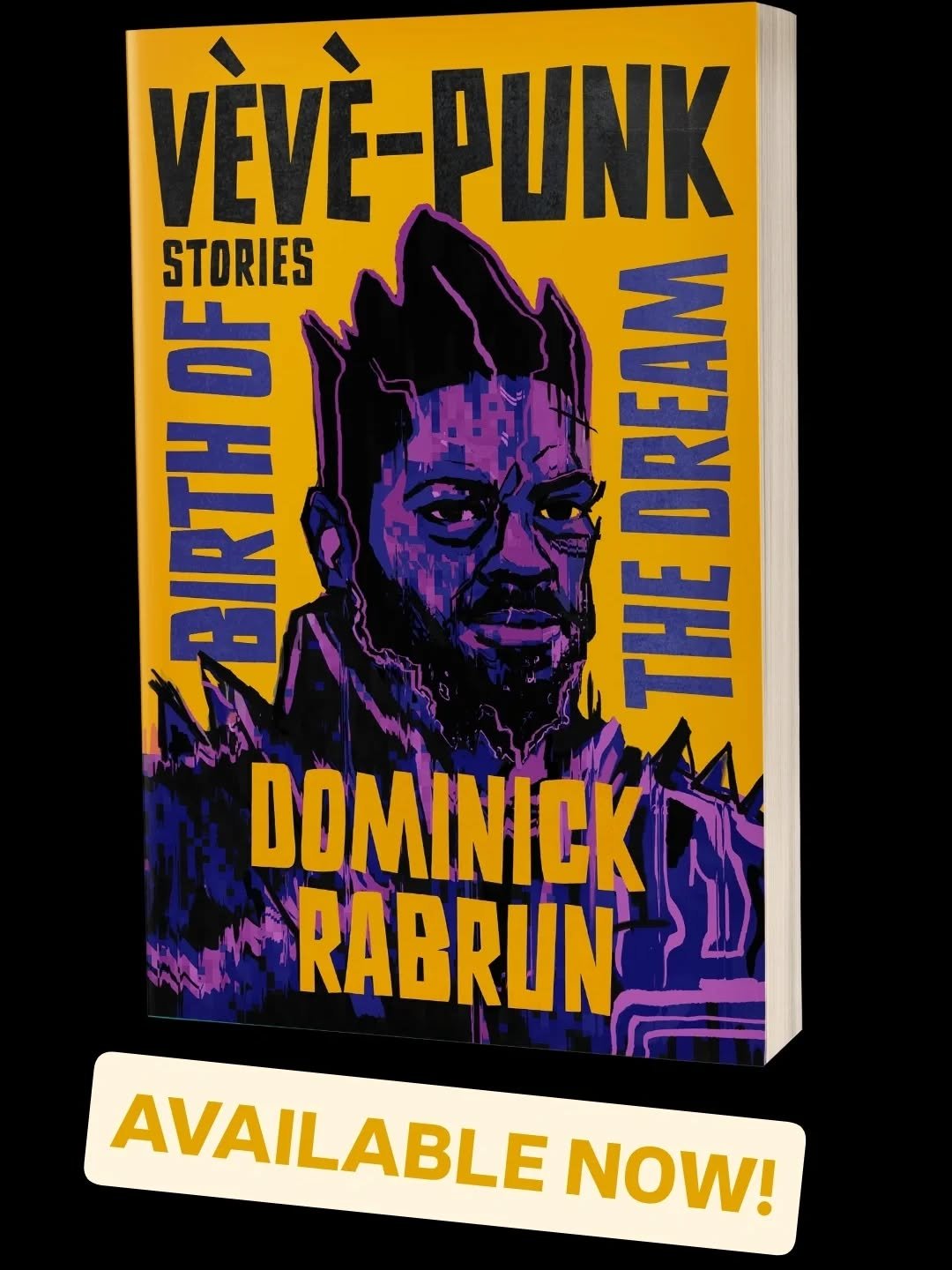 BEHOLD! My book, V&egrave;v&egrave;-Punk: Birth of the Dream is available now in paperback and ebook. You can get a signed copy on my site too! Links in bio. (Audiobook coming this spring!)

This book has been cooking in my brain for the past five ye