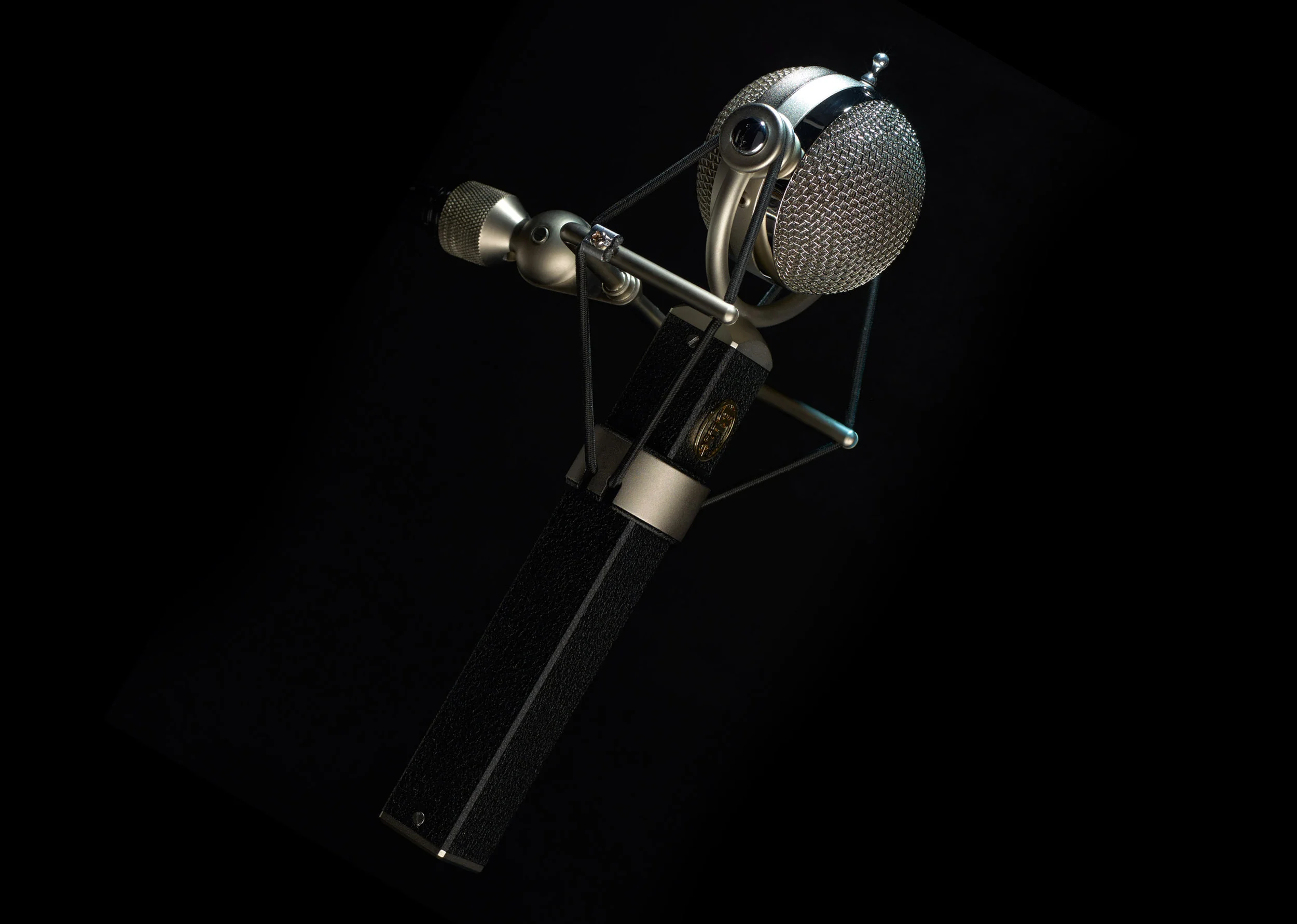 Blue_Dragonfly_Condenser_Microphone.jpg