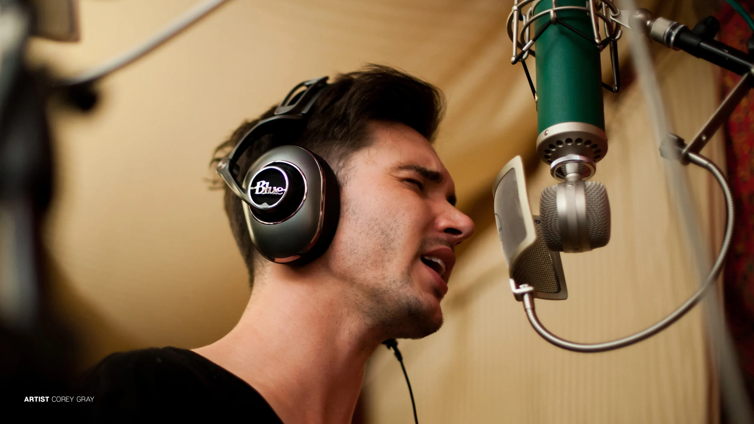 Blue_Kiwi_Condenser_Mic_on_Vocals.jpg