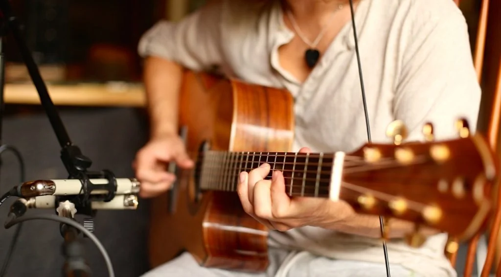 Telefunken_ELAM_260_on_Acoustic_Guitar.jpg