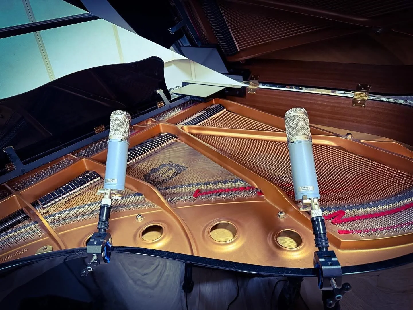 ADK Z-Squared 67 Custom Tube Multipattern Microphone - SILVER