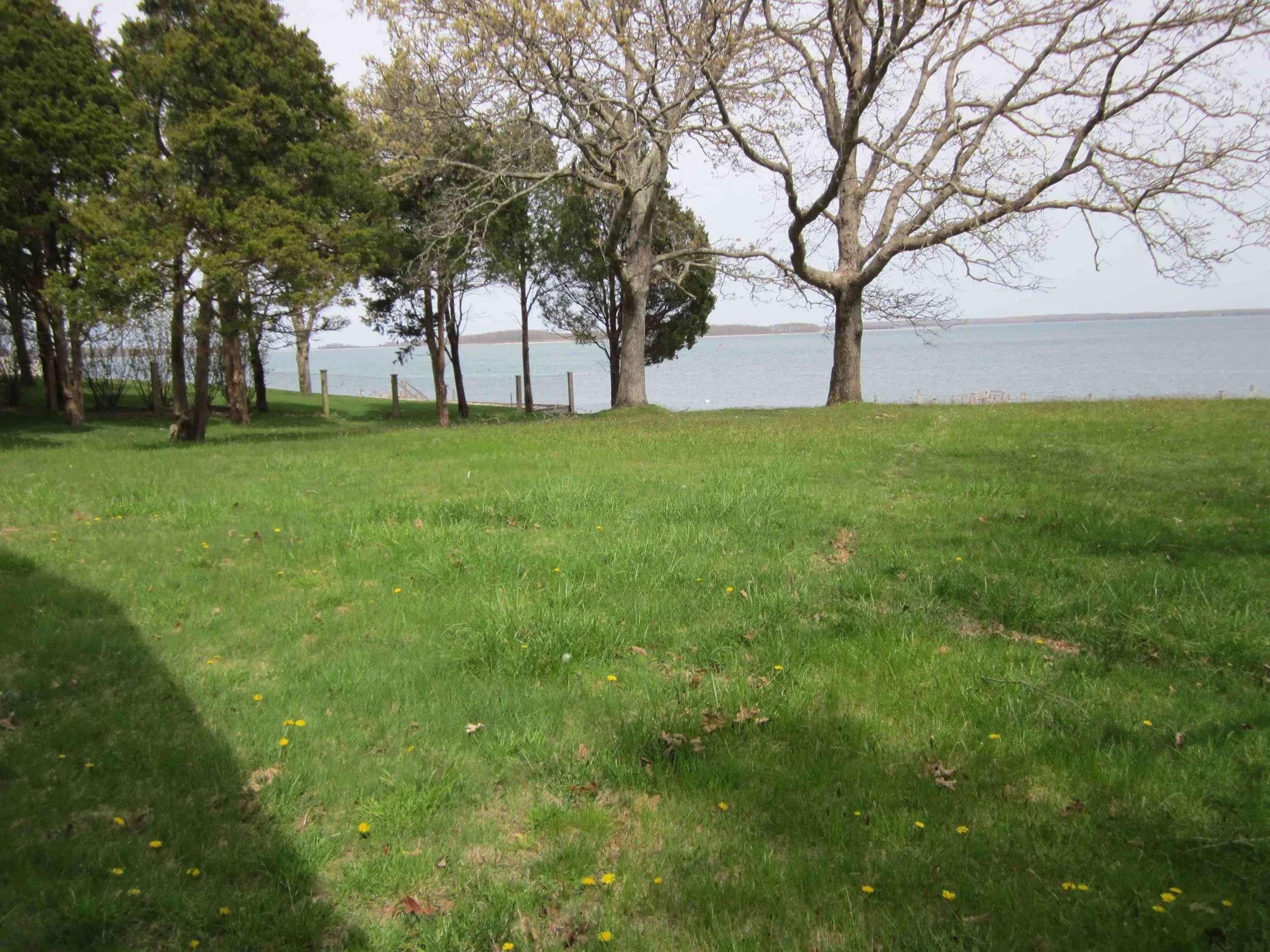 IMG_0079.jpg