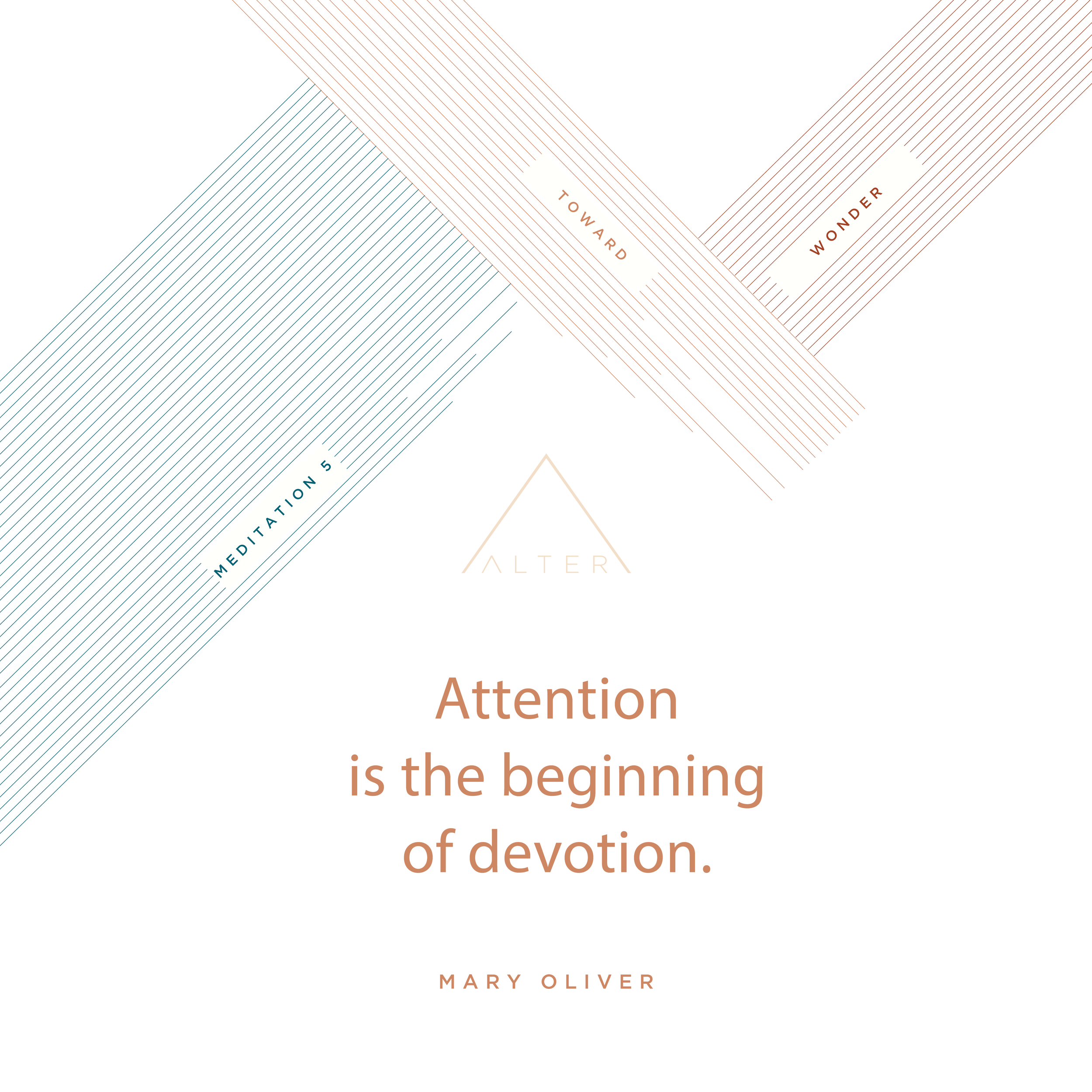 Meditation 5 - Toward Wonder