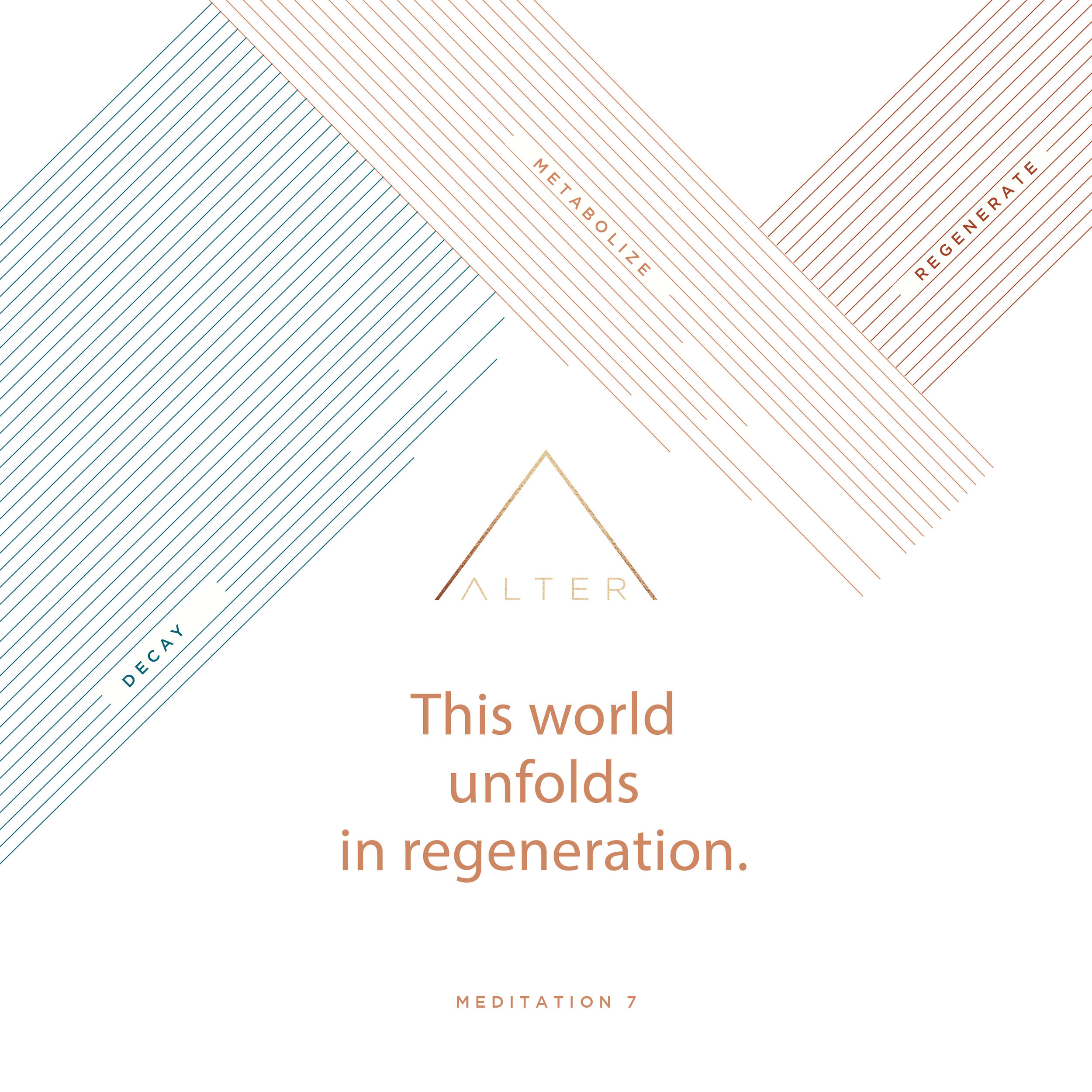Meditation 7 - Regenerate