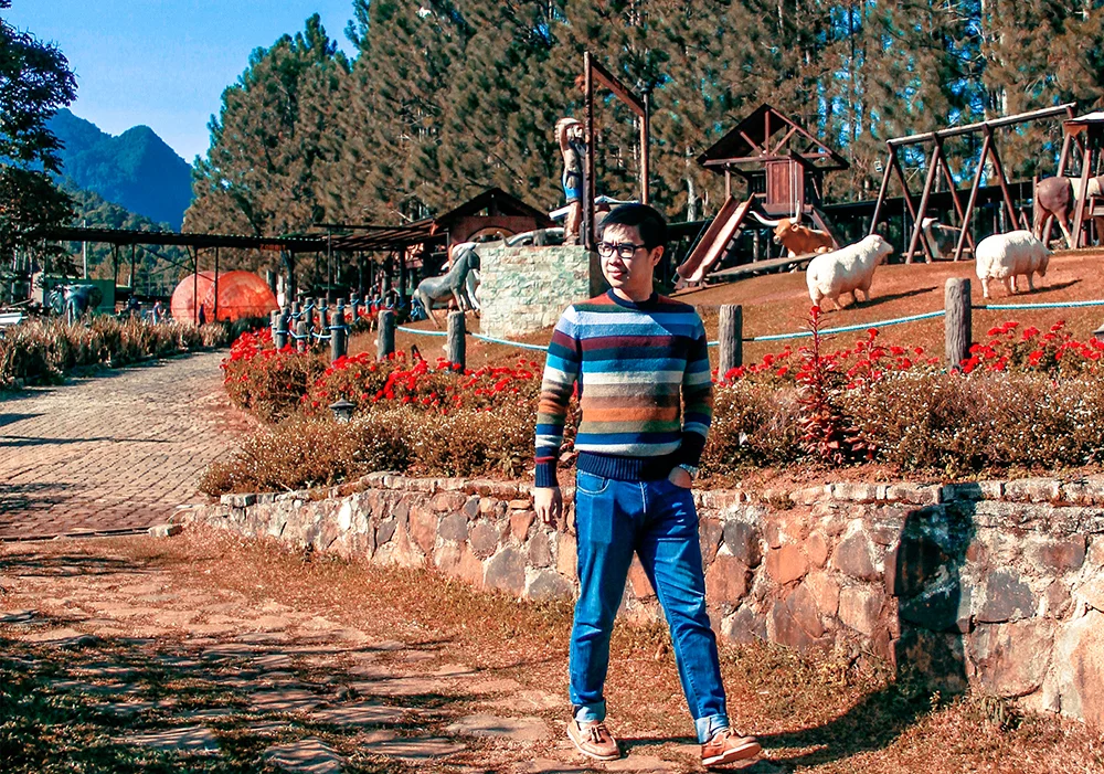 Pine-Stripes-Cover.jpg