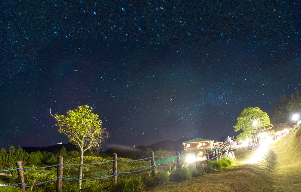 Star-Gazing-Cover.jpg