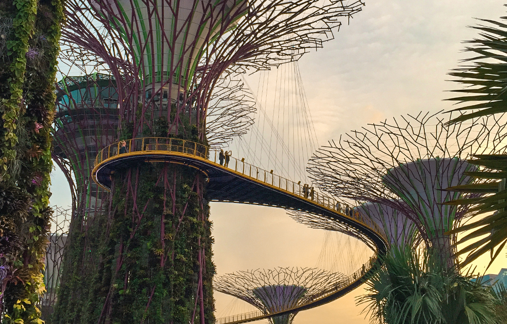 Gardens-by-the-Bay-Cover.jpg