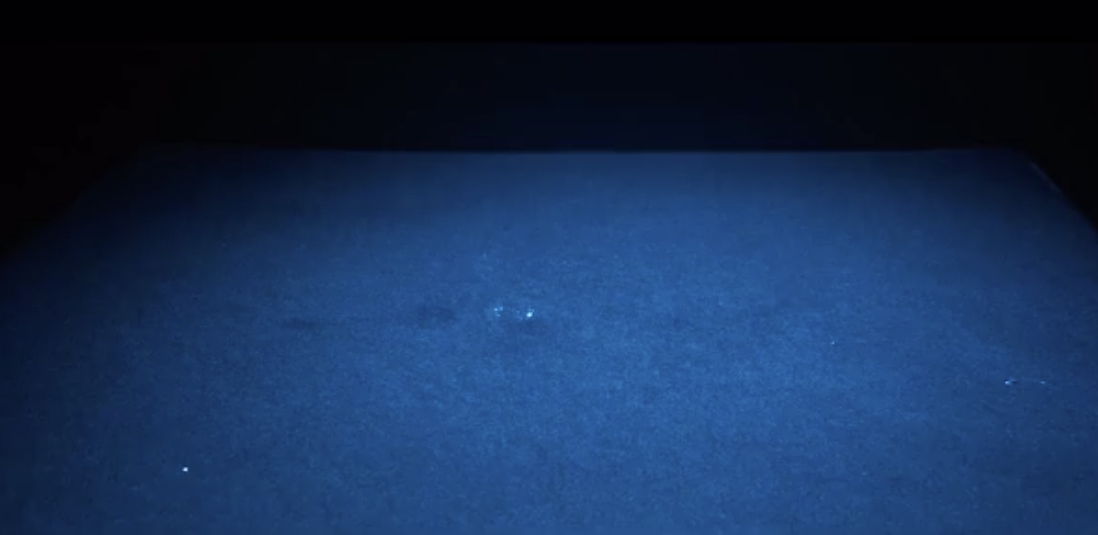 D7FFBB55-0455-4041-A2AB-5448DD7F7F04.jpeg