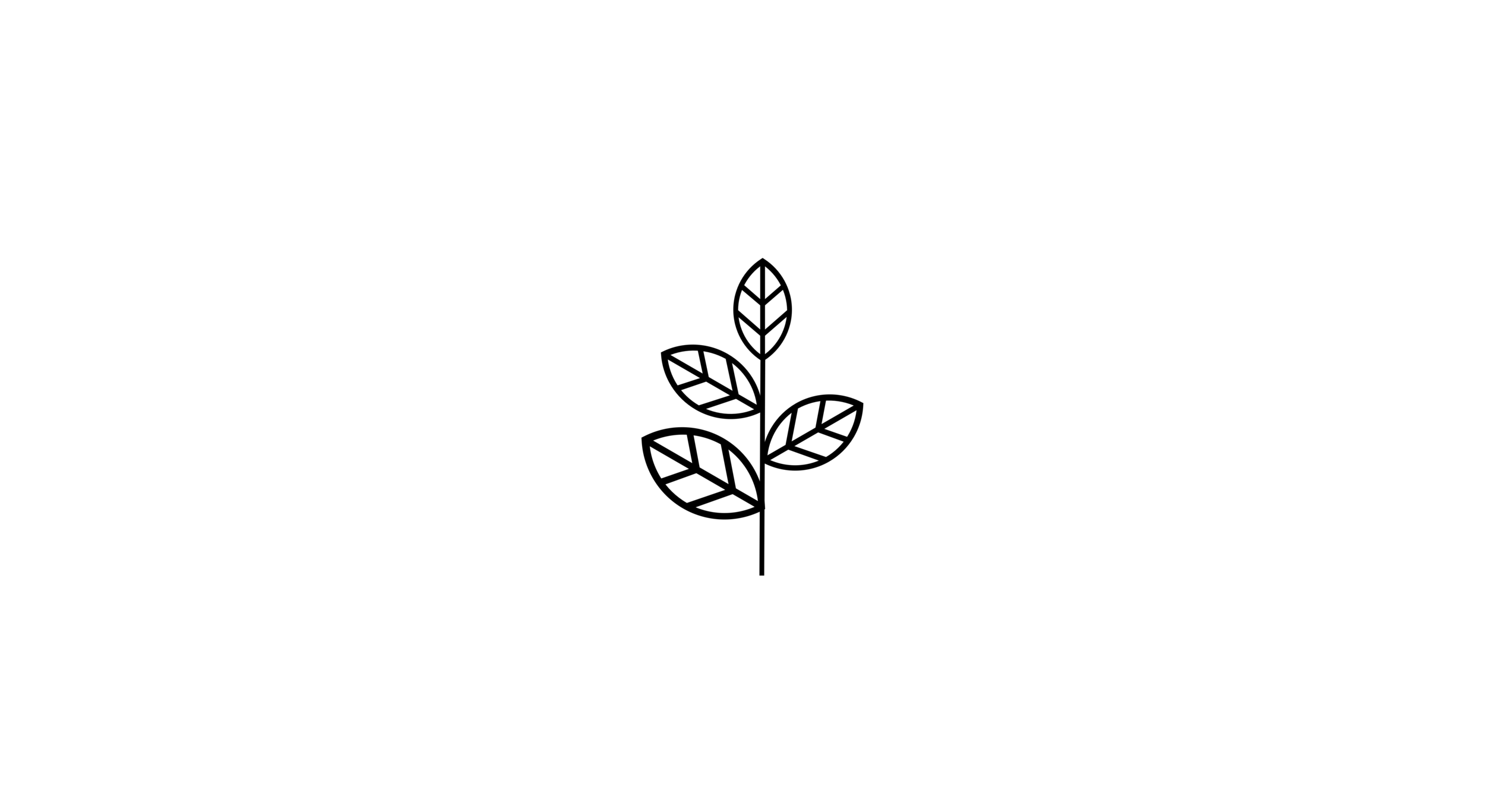 Group 2.png