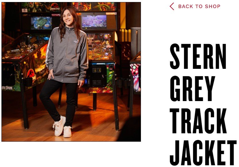 SternPinball_RebeccaAnnCarver_GreyTrackJacket.jpg