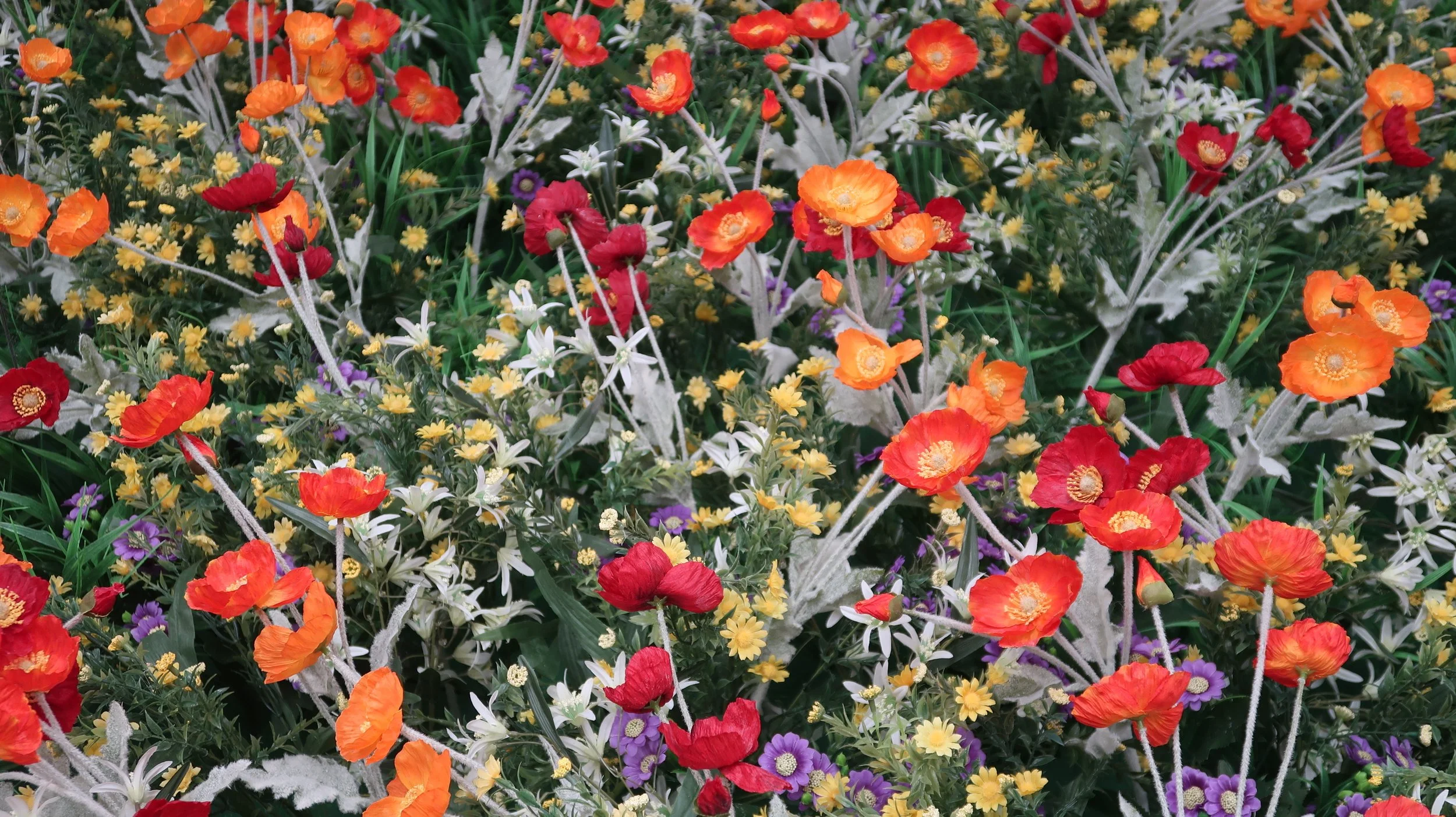 HospitalOfEmotions_Flowers_HORIZONTAL.JPG