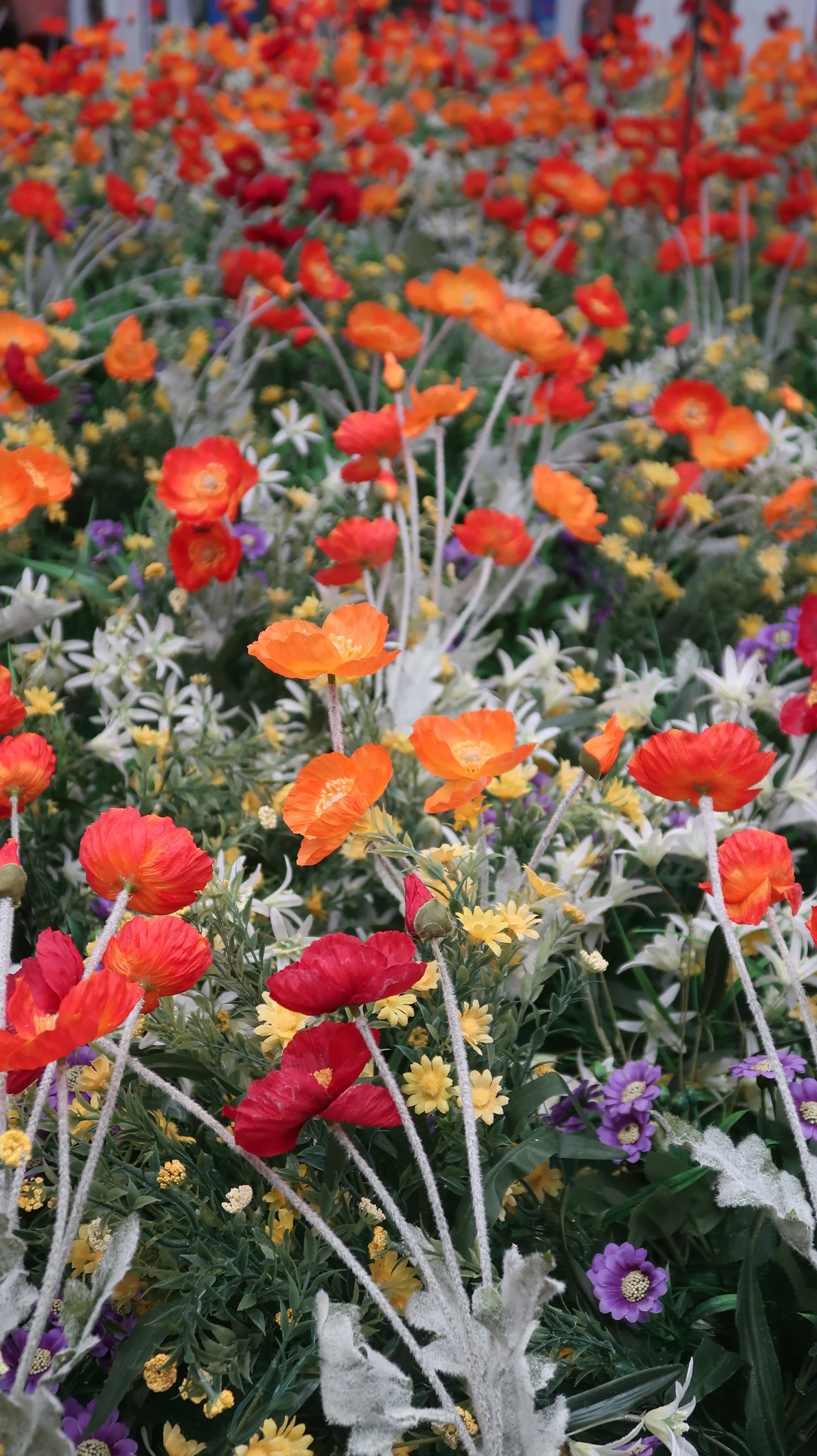 HospitalOfEmotions_Flowers_VERTICAL.JPG