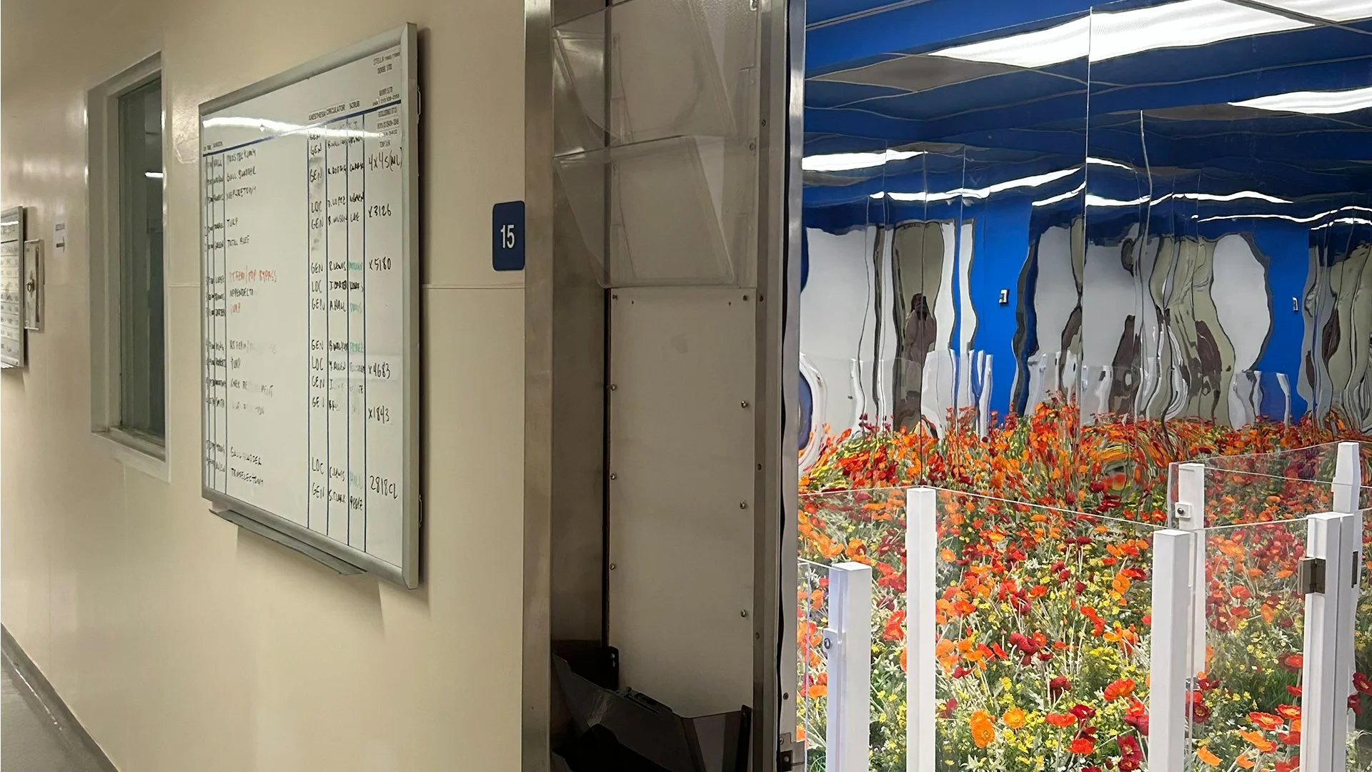 HospitalOfEmotions_SignandSpace2_HORIZONTAL.jpg